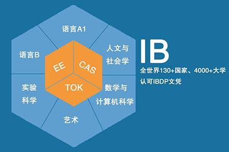IB課程是什么及如何學習IB課程？