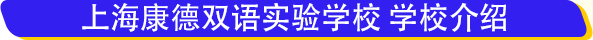 2018上?？档码p語小學學費逆天 一年收費16萬憑啥這么拽？