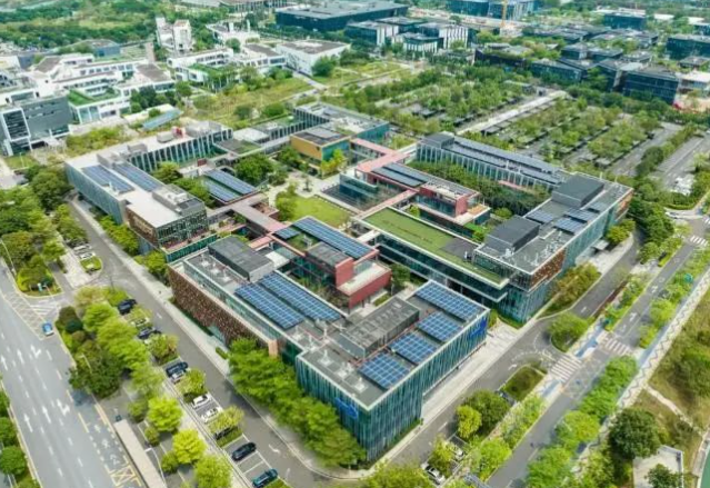 2025年深圳灣國際藝術教育招生學費、招生對象、招生年級