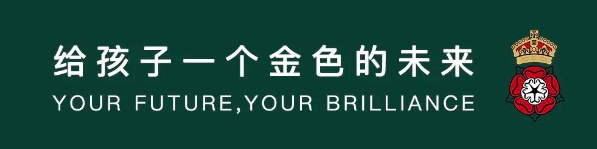南京金地未來學(xué)校喜報｜A-level大考放榜，金地學(xué)子榮耀而歸