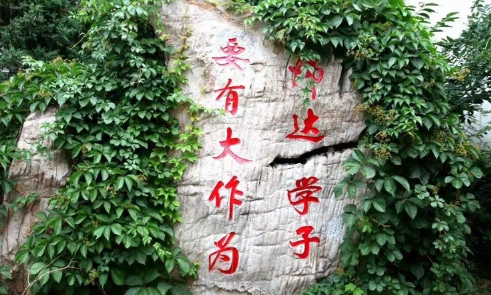 北京市師達(dá)中學(xué)國際部課程設(shè)置