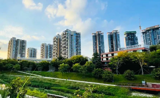 深圳IPC國(guó)際校區(qū)2025秋招：幼兒園至初中少量名額，課程特色全解析